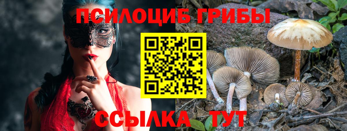 Чапаевск  Псилоцибиновые грибы мицелий  сколько стоит  Вход с VPN 